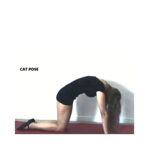 get more flexible, cat pose stretch