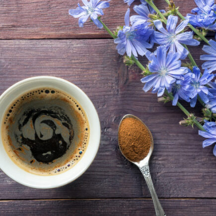 Chicory coffee drink with blue flowers