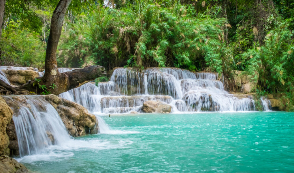 seeing water benefits-turquoise water of Kuang Si waterfalls in Laos